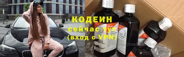 хмурый Гусев