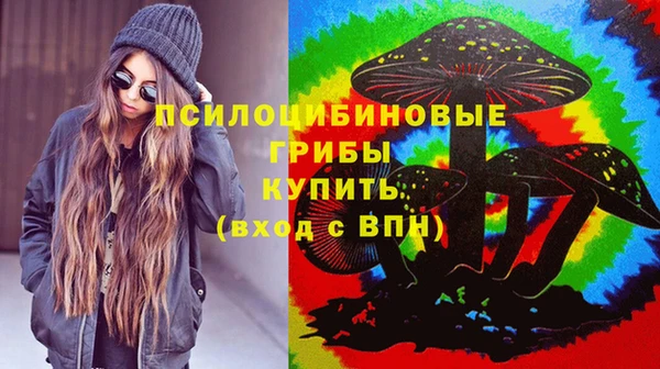 хмурый Гусев
