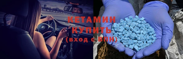 эйфоретик Гусь-Хрустальный