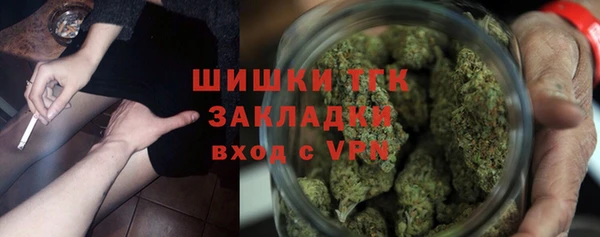 хмурый Гусев