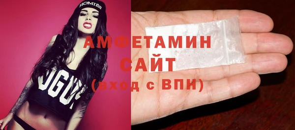 эйфоретик Гусь-Хрустальный