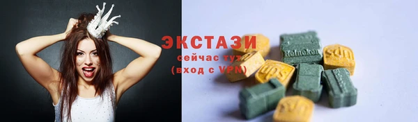 эйфоретик Гусь-Хрустальный