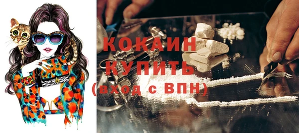 эйфоретик Гусь-Хрустальный