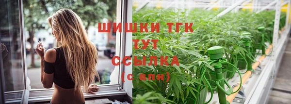 эйфоретик Гусь-Хрустальный