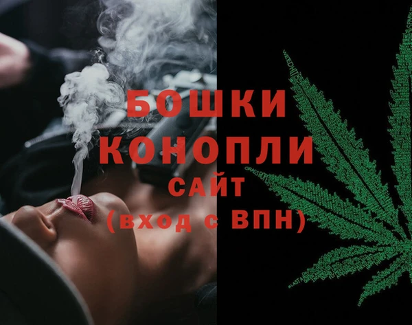 эйфоретик Гусь-Хрустальный
