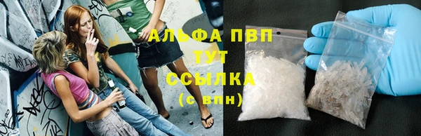 эйфоретик Гусь-Хрустальный