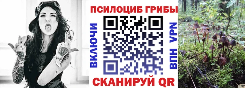 купить закладку  Батайск  блэк спрут рабочий сайт  Галлюциногенные грибы мицелий 